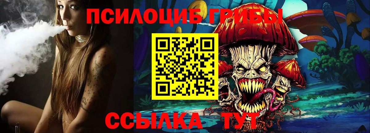 даркнет сайт  Галлюциногенные грибы мицелий  Псилоцибиновые грибы MAGIC MUSHROOMS  Вход с VPN  Гудермес 