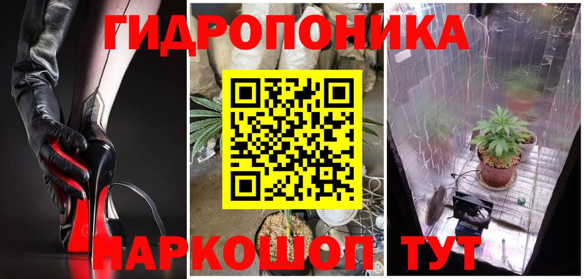 Бошки Шишки марихуана  Вход с VPN  МАРИХУАНА OG Kush  Каннабис индика  Гудермес 